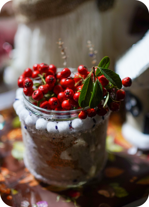 drzavna olimpijata 2024