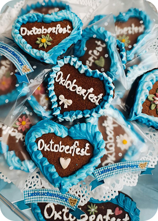 drzavna olimpijata 2024